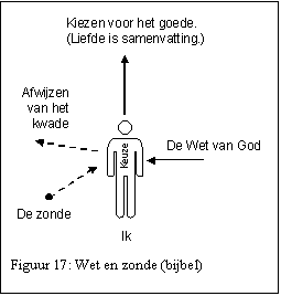 Text Box:  
Figuur 17: Wet en zonde (bijbel)
